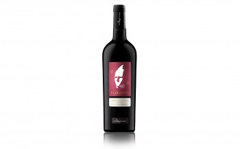 /file/wine/normal/aleseales_fotografo_sardegna_vino_contini.jpg