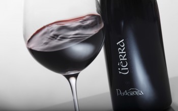 /file/wine/normal/aleseales_fotografo_sardegna_vino_poderosa.jpg