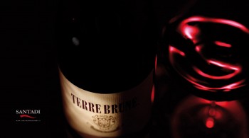 /file/wine/normal/aleseales_fotografo_sardegna_vino_terrebrune.jpg